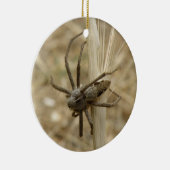 Creepy Crawly Spider Custom Birthday Keramikornament (Rechts)