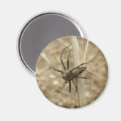 Creepy Crawly Spider Magnet (Vorderseite/Rückseite)
