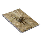 Creepy Crawly Spider Notebook Notizblock (Rechte Seite)