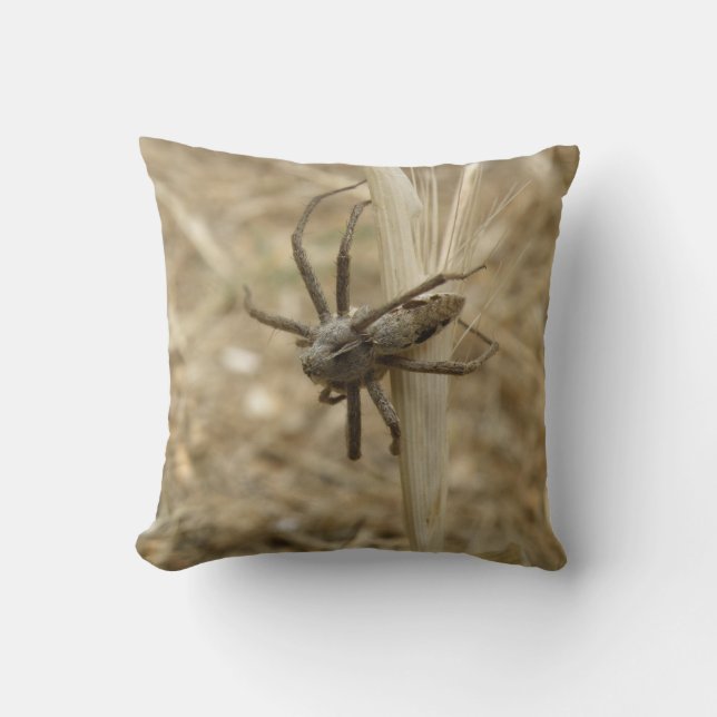 Creepy Crawly Spider Pillow Kissen (Vorderseite)