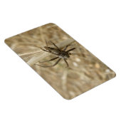 Creepy Crawly Spider Premium Magnet (Rechte Seite)