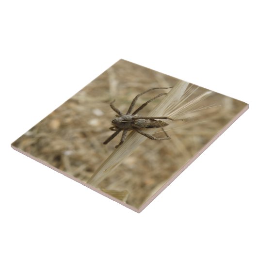 Creepy Crawly Spider Tile Fliese (Seite)