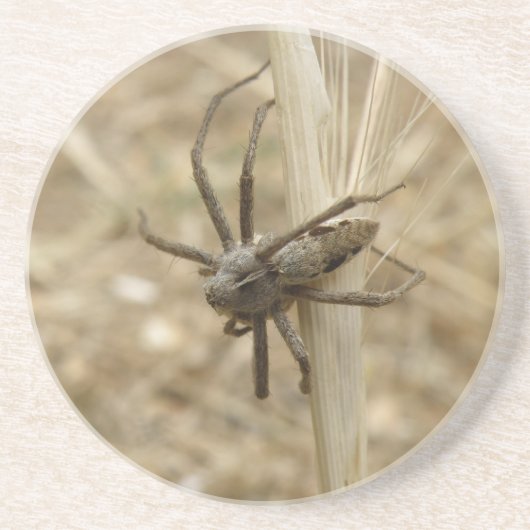 Creepy Crawly Spider Untersetzer (Vorne)