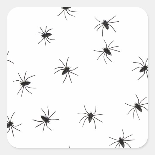 Creepy Crawly Spiders Quadratischer Aufkleber (Vorderseite)
