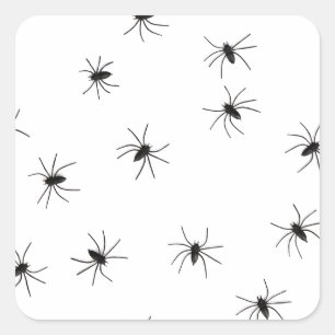 Creepy Crawly Spiders Quadratischer Aufkleber