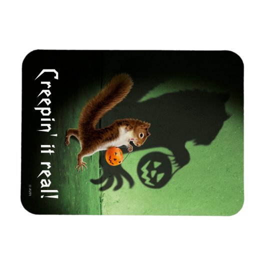 Creepy Eichhörnchen Shadow Magnet (Horizontal)
