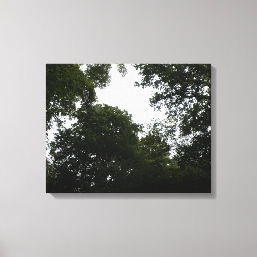 Creepy Forest Canvas Print Leinwanddruck (Vorderseite)