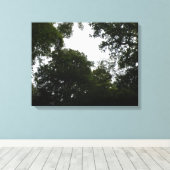 Creepy Forest Canvas Print Leinwanddruck (Insitu (Holzboden))