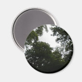 Creepy Forest Magnet (Vorderseite/Rückseite)