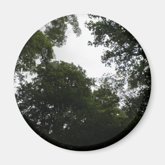 Creepy Forest Magnet (Vorne)