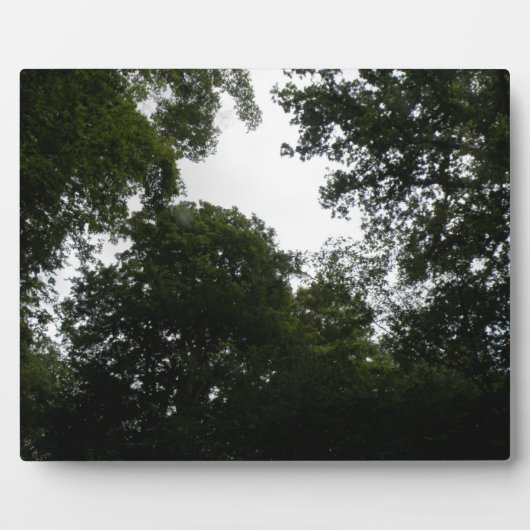 Creepy Forest Plaque Fotoplatte (Vorderseite)