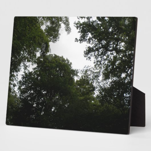 Creepy Forest Plaque Fotoplatte (Seite)