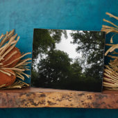 Creepy Forest Plaque Fotoplatte (Seite)