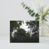 Creepy Forest Postcard Postkarte (Stehend Vorderseite)