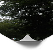 Creepy Forest Print Poster (Ecke)