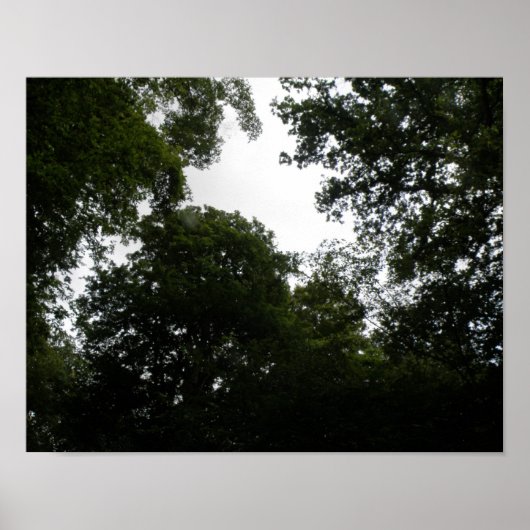 Creepy Forest Print Poster (Vorne)