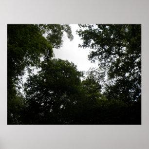 Creepy Forest Print Poster