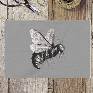 Creepy Gothic Bee Skull Wings Insekt Seidenpapier