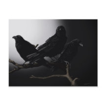 Creepy Ravens im Mondlicht Postkarte
