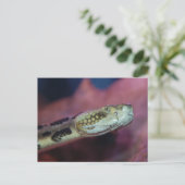 Creepy Snake Postkarte (Stehend Vorderseite)