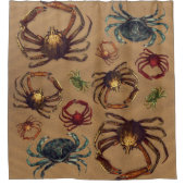 Creepy Spider Crabs Sand Background Duschvorhang (Vorderseite)