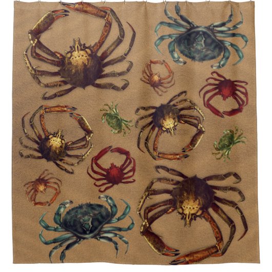 Creepy Spider Crabs Sand Background Duschvorhang (Vorderseite)
