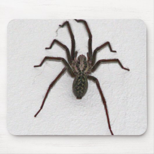 Creepy Spider Mousepad (Vorne)
