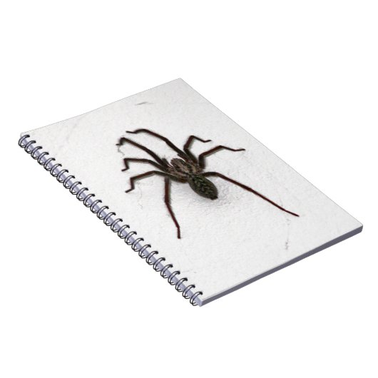 Creepy Spider Notizblock (Rechte Seite)