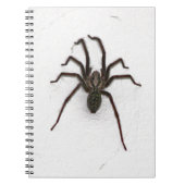 Creepy Spider Notizblock (Vorderseite)