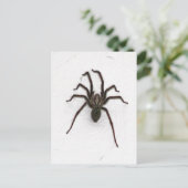 Creepy Spider Postkarte (Stehend Vorderseite)