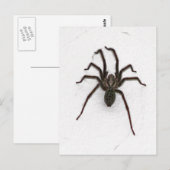 Creepy Spider Postkarte (Vorne/Hinten)