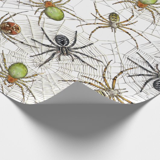 Creepy Spiders Webmuster Geschenkpapier (Ecke)