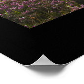 Cregennan Lake Poster (Ecke)