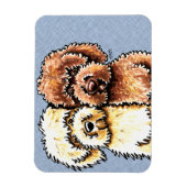 Creme Chocolate Labradoodles Magnet (Vertikal)
