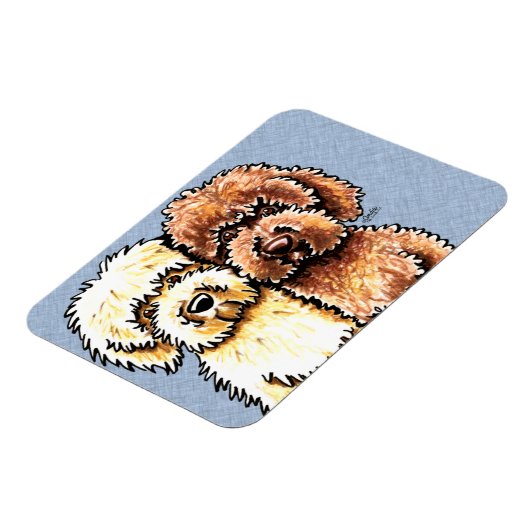 Creme Chocolate Labradoodles Magnet (Linke Seite)