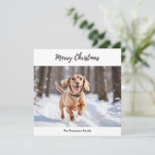 Creme Dackel im Schneehundfoto Niedlich Feiertagskarte (Stehend Vorderseite)