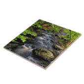 Creme fließt durch den Wald Fliese (Seite)