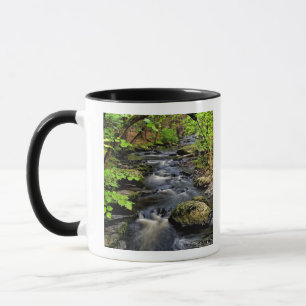 Creme fließt durch den Wald Tasse