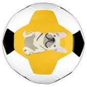 Creme-Französische Bulldogge Fußball (Gedreht)