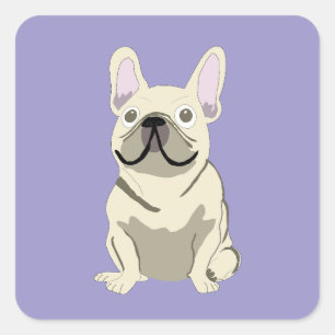 Creme-Französische Bulldogge, Quadratischer Aufkleber