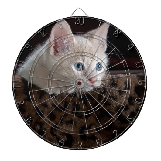 Creme Kitten mit schönen blauen Augen Dartscheibe (vorne)