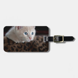 Creme Kitten mit schönen blauen Augen Gepäckanhänger