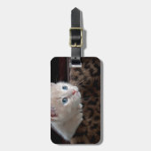 Creme Kitten mit schönen blauen Augen Gepäckanhänger (Vorderseite vertikal)