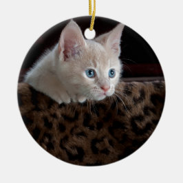 Creme Kitten mit schönen blauen Augen Keramikornament