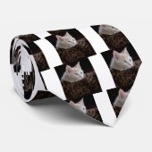 Creme Kitten mit schönen blauen Augen Krawatte (Gerollt)