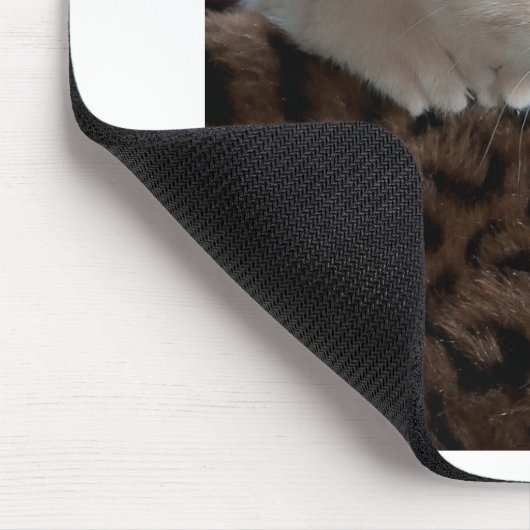 Creme Kitten mit schönen blauen Augen Mousepad (Ecke)