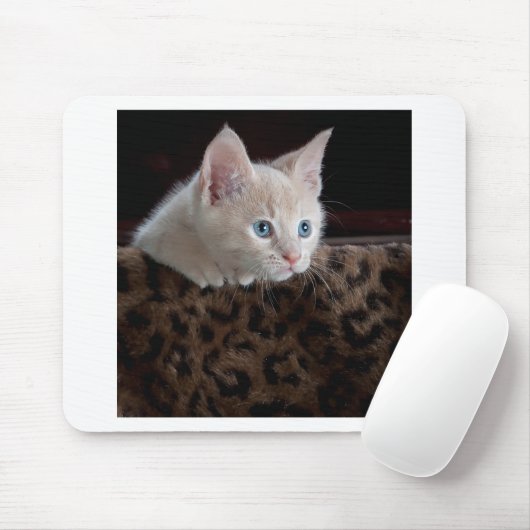 Creme Kitten mit schönen blauen Augen Mousepad (Mit Mouse)