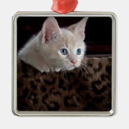 Creme Kitten mit schönen blauen Augen Ornament Aus Metall