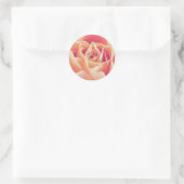 Creme Pink Rose Sticker (Tasche)