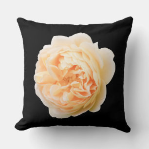 Creme-Rose abgeschieden auf schwarzem Hintergrund Kissen